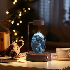 Crystal Ball Indoor Bedside Light with USB Power