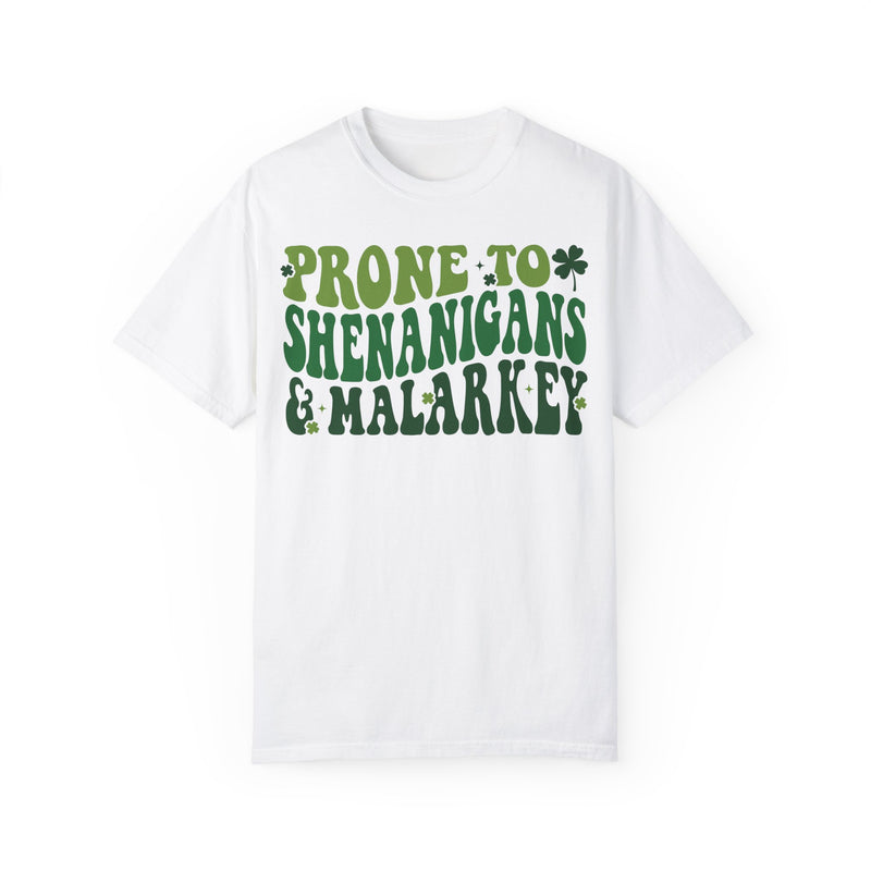 Prone to Shenanigans Unisex Garment-Dyed T-shirt