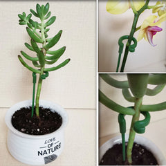 Plastic Plant Support