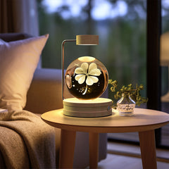 Crystal Ball Indoor Bedside Light with USB Power