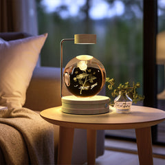 Crystal Ball Indoor Bedside Light with USB Power