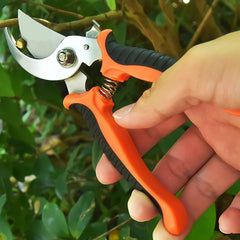 Garden Scissors